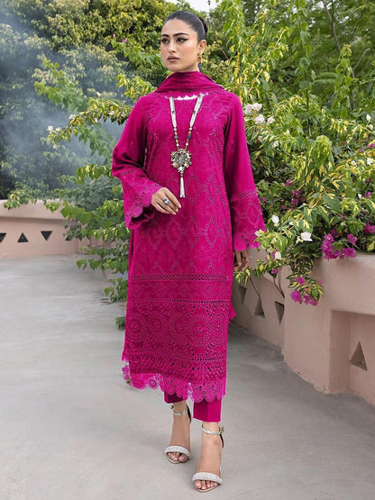 Chikankari Cotton & Chiffon Ensemble 3