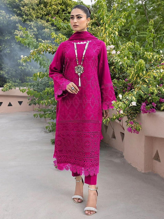 Chikankari Cotton & Chiffon Ensemble 3