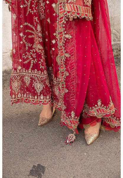 Red Heavy Embroidered Chiffon Ensemble
