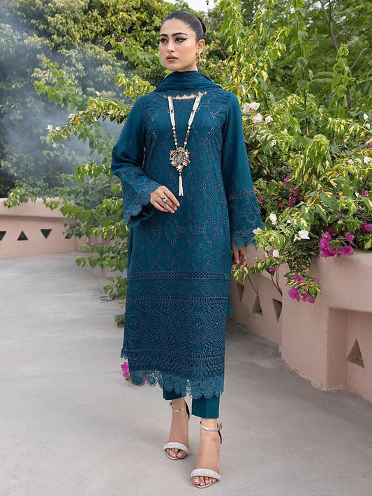 Chikankari Cotton & Chiffon Ensemble 2