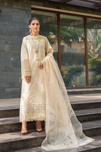 3 piece chikankari suit